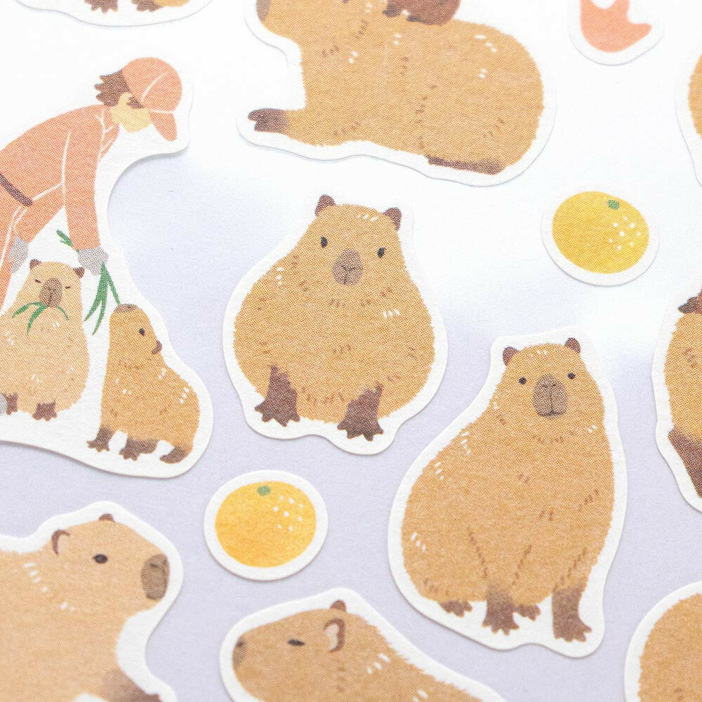 NB Co. Ltd. - ZOOm in Animals - Capybara