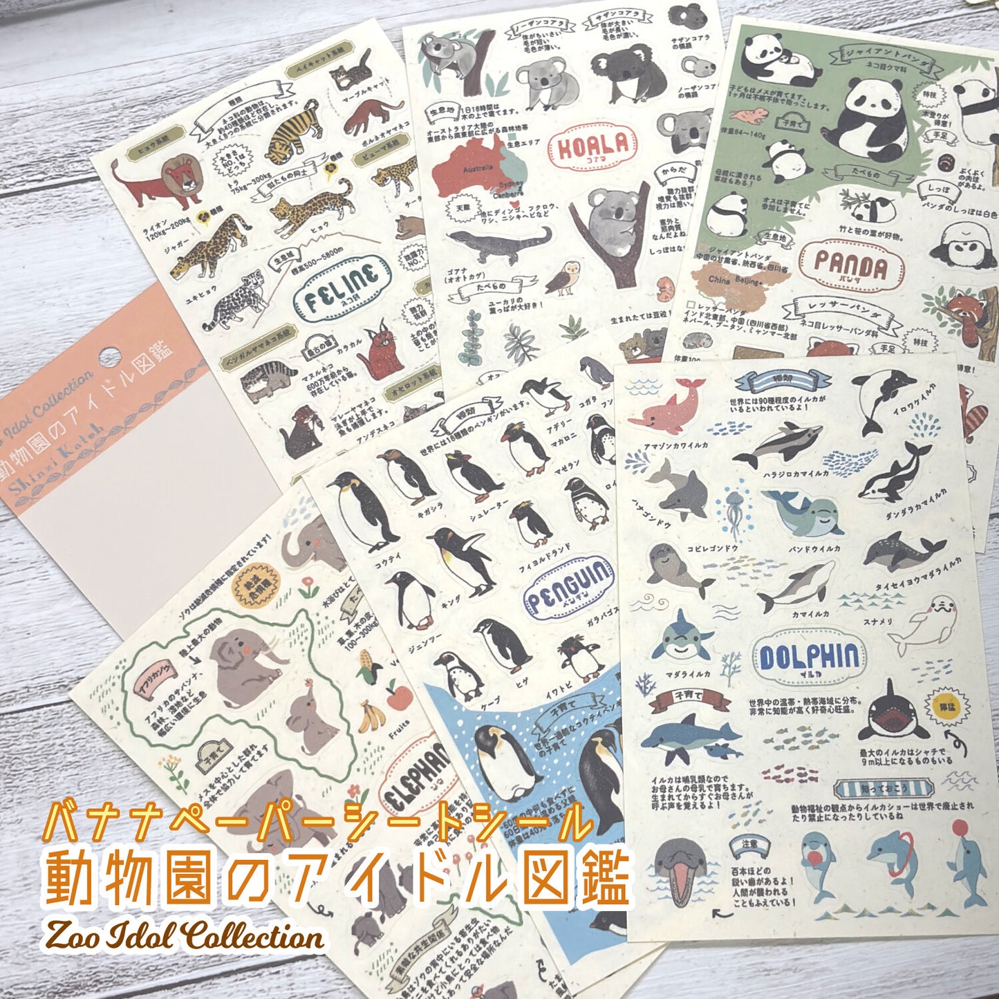 SEAL-DO Shinzi Katoh - Banana Paper Stickers - Endangered Species - Koala