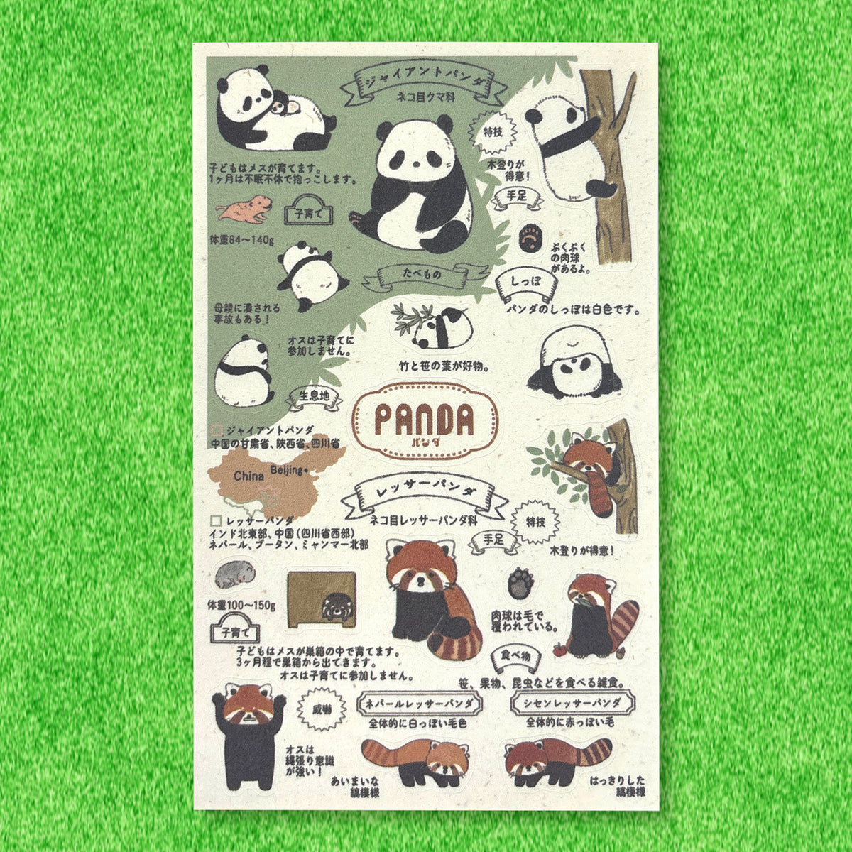 SEAL-DO Shinzi Katoh - Banana Paper Stickers - Endangered Species - Panda
