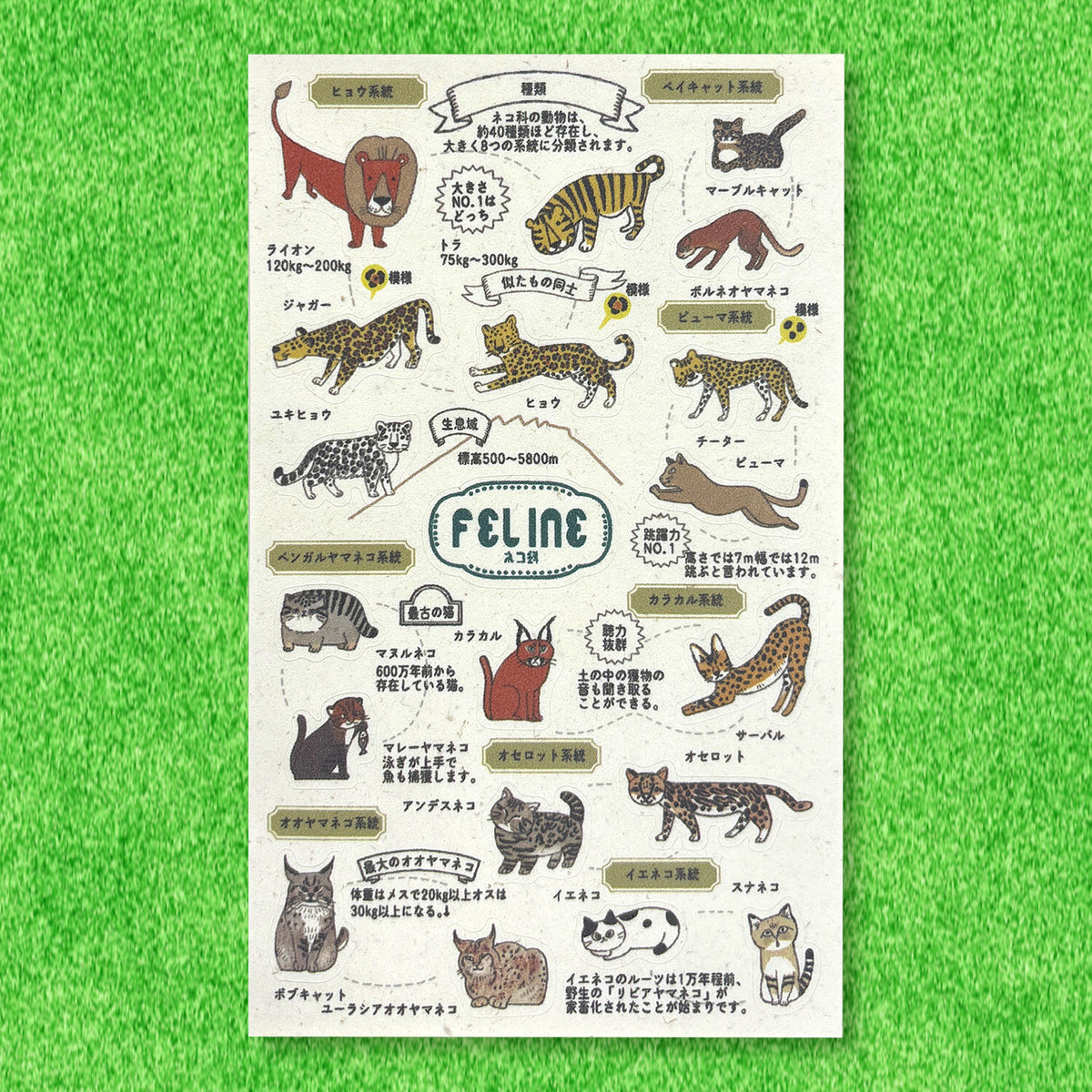 SEAL-DO Shinzi Katoh - Banana Paper Stickers - Endangered Species - Feline