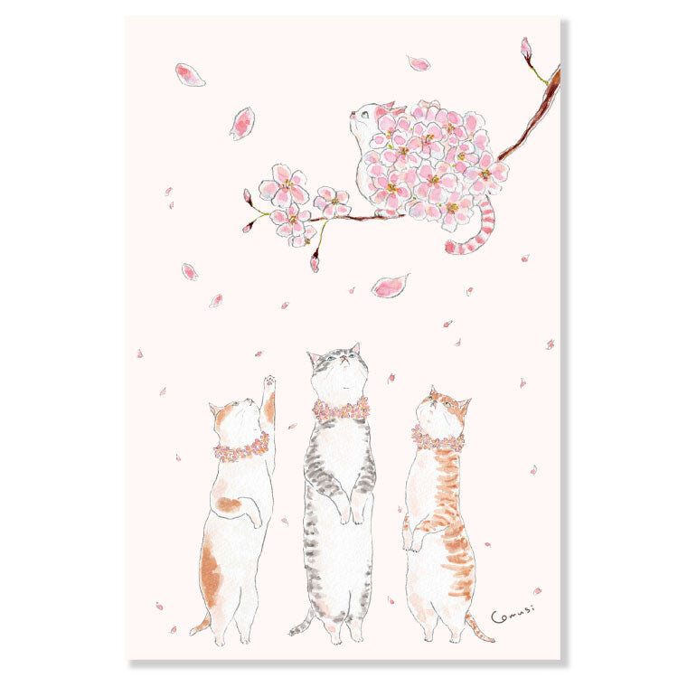 Active Corporation - Tocorocomugi - Postcard - Cats in the Cherry Blossom Tree