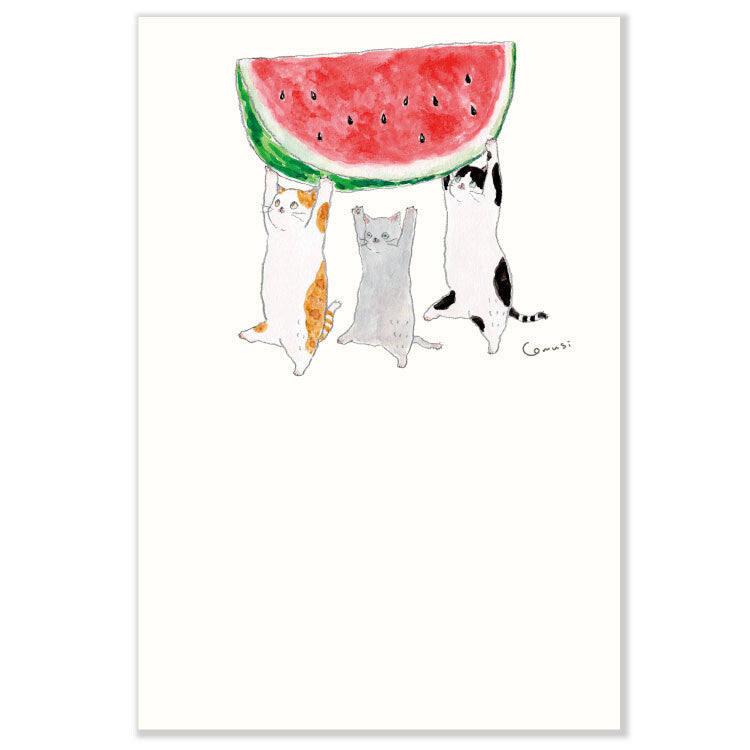 Active Corporation - Summer Limited - Postcard - Tocorocomugi - Watermelon