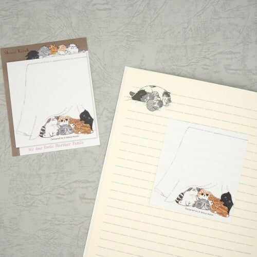 Shinzi Katoh - Sticky Notes - My Dear Exotic Shorthair Cat Family - Sleeping