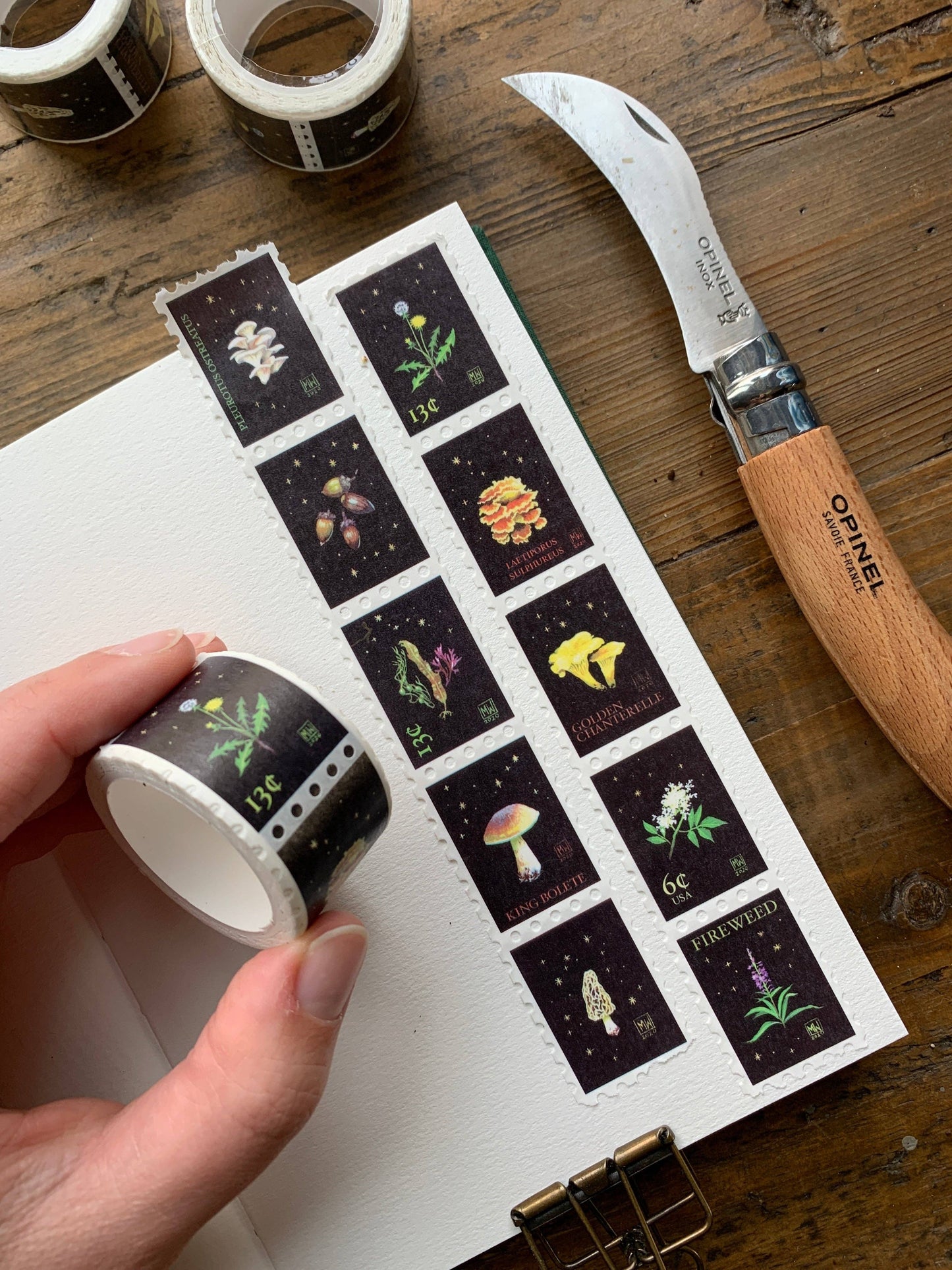 The Creeping Moon - Washi Tape - Foraging Stamp