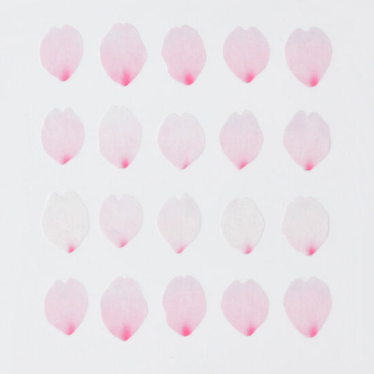 Bande Washi Tape Sticker Roll - Cherry Blossom Petals - Bloom