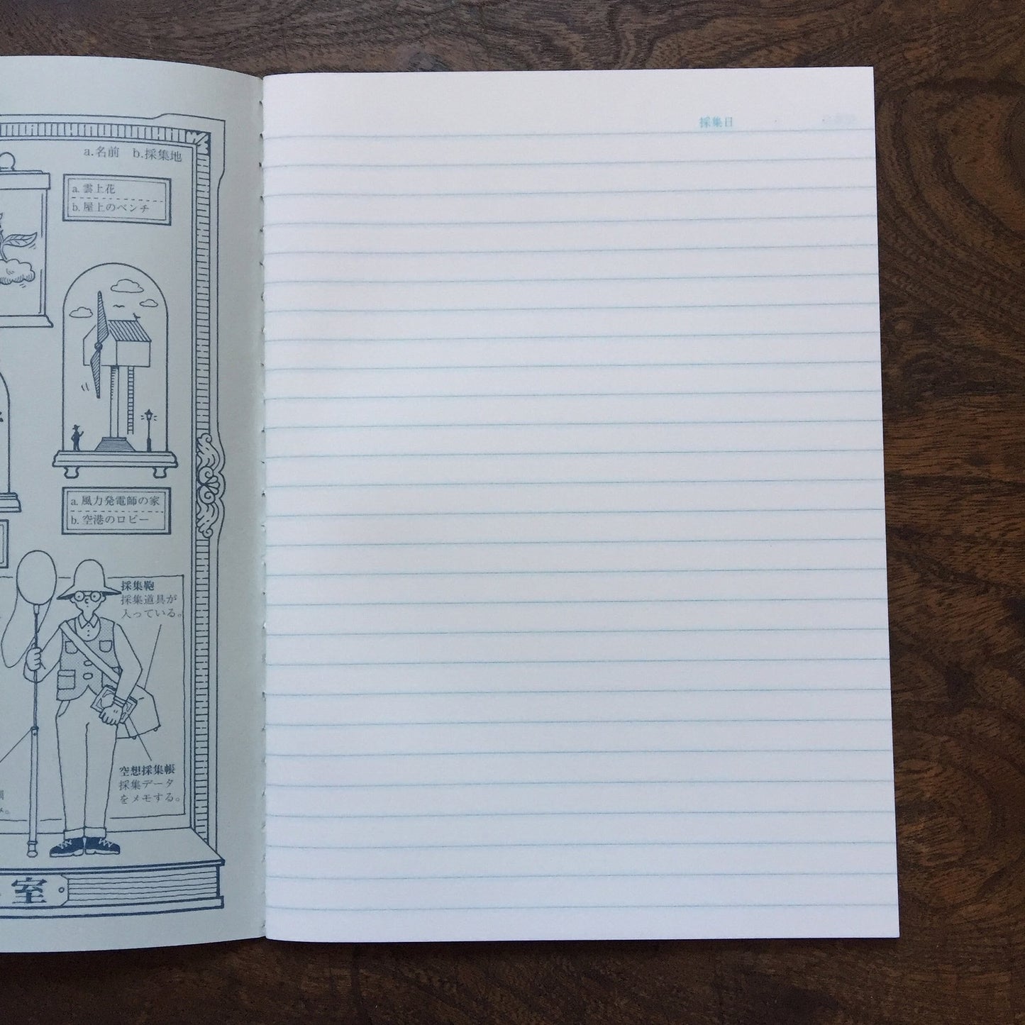 LIFE - Kyupodo - Dream Notebook - Blue