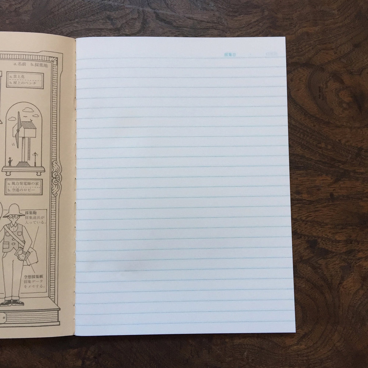 LIFE - Kyupodo - Dream Notebook - Brown