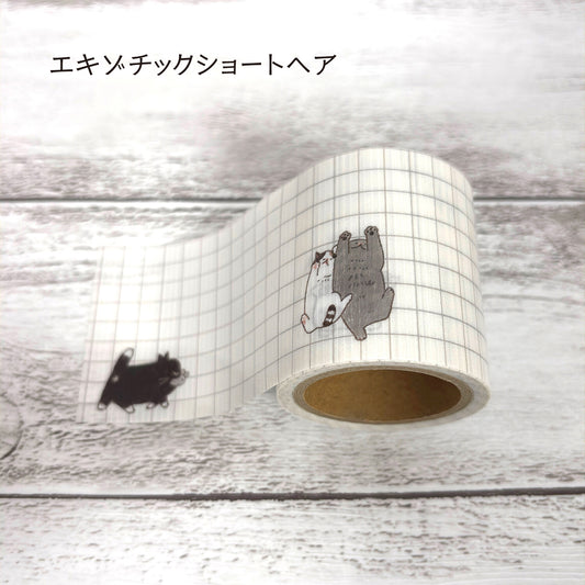 SEAL-DO Shinzi Katoh Yojo Tape - Exotic Shorthair Cats