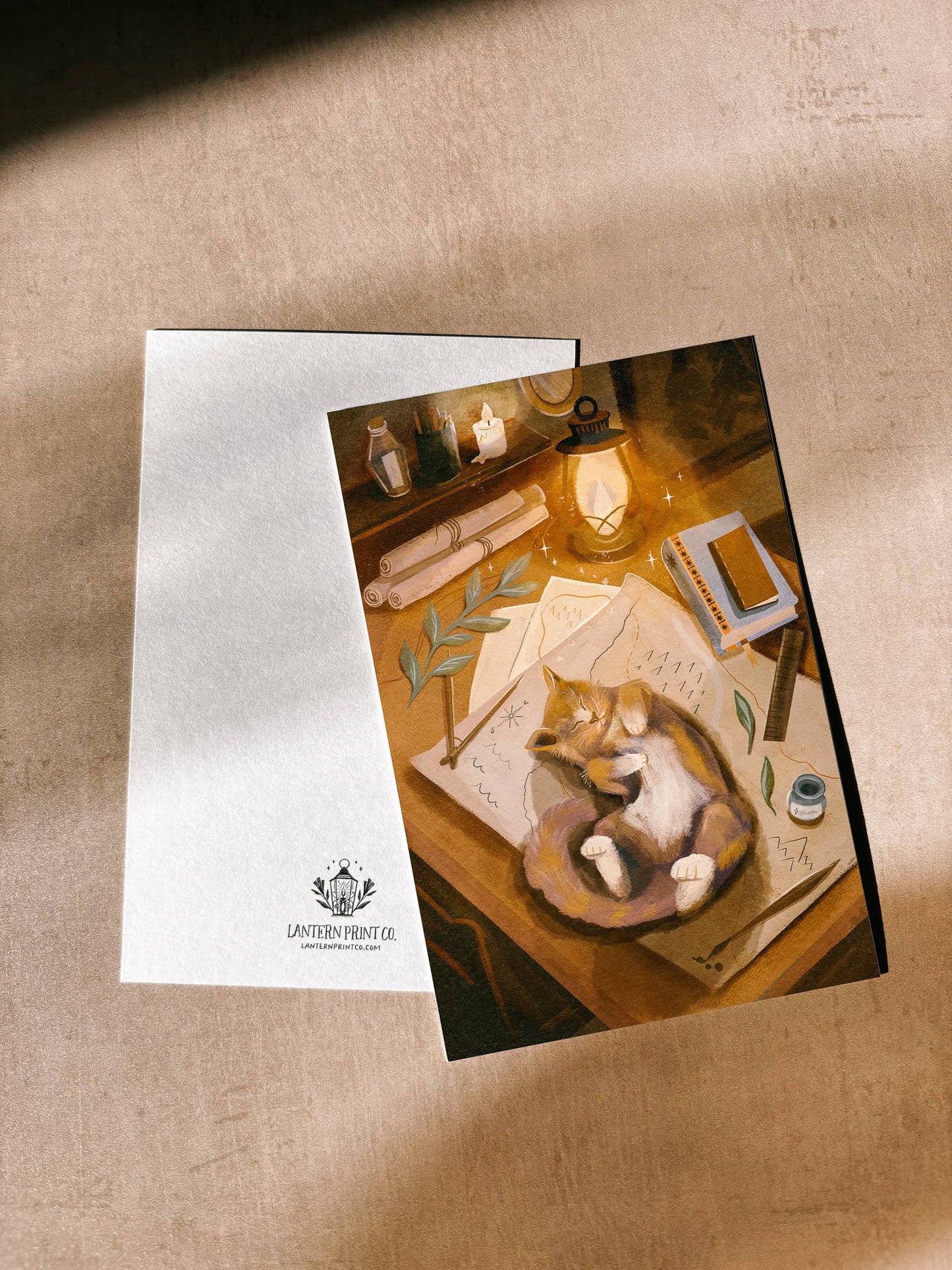 Lantern Print Co. - Postcard - Mapmaker's Cat