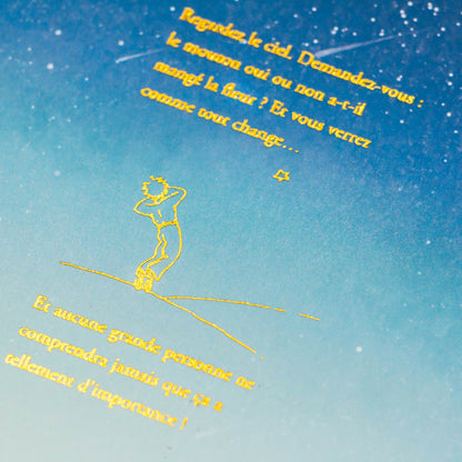 The Little Prince - A6 Notebook - Migratory Bird