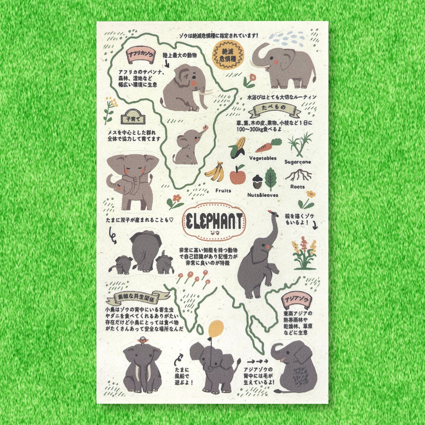 SEAL-DO Shinzi Katoh - Banana Paper Stickers - Endangered Species - Elephant