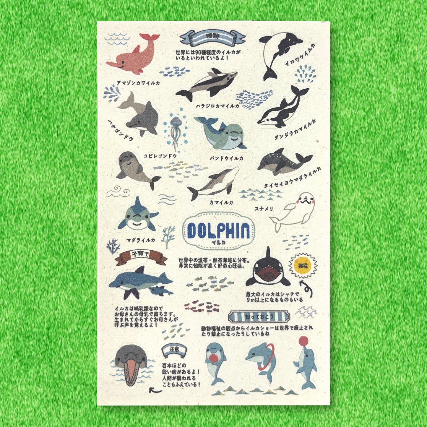 SEAL-DO Shinzi Katoh - Banana Paper Stickers - Endangered Species - Dolphin