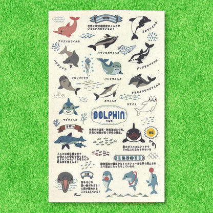 SEAL-DO Shinzi Katoh - Banana Paper Stickers - Endangered Species - Dolphin