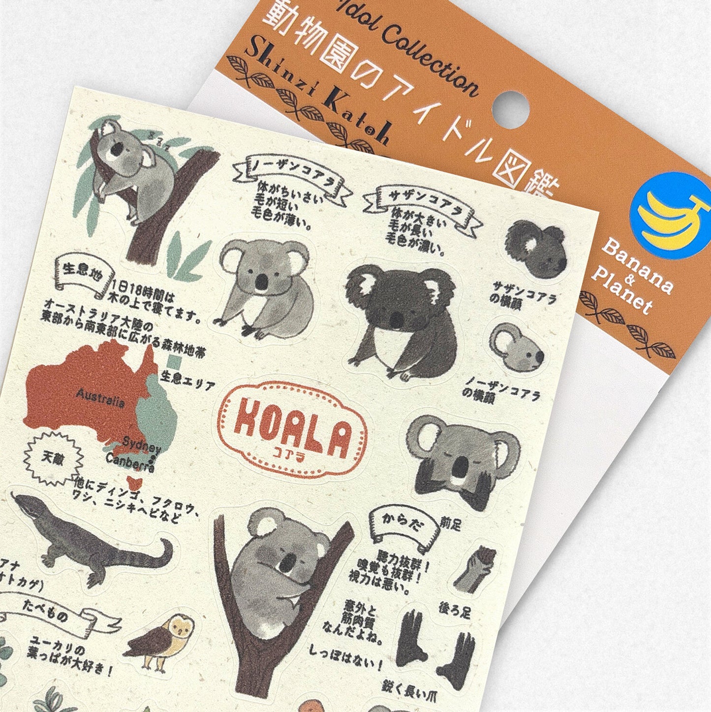 SEAL-DO Shinzi Katoh - Banana Paper Stickers - Endangered Species - Koala