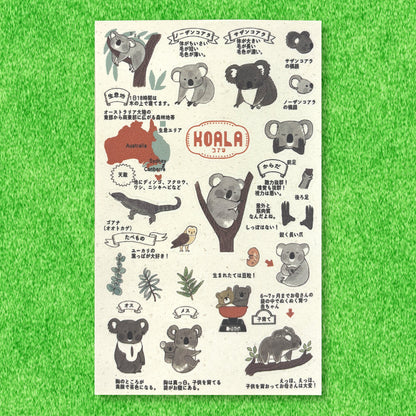 SEAL-DO Shinzi Katoh - Banana Paper Stickers - Endangered Species - Koala