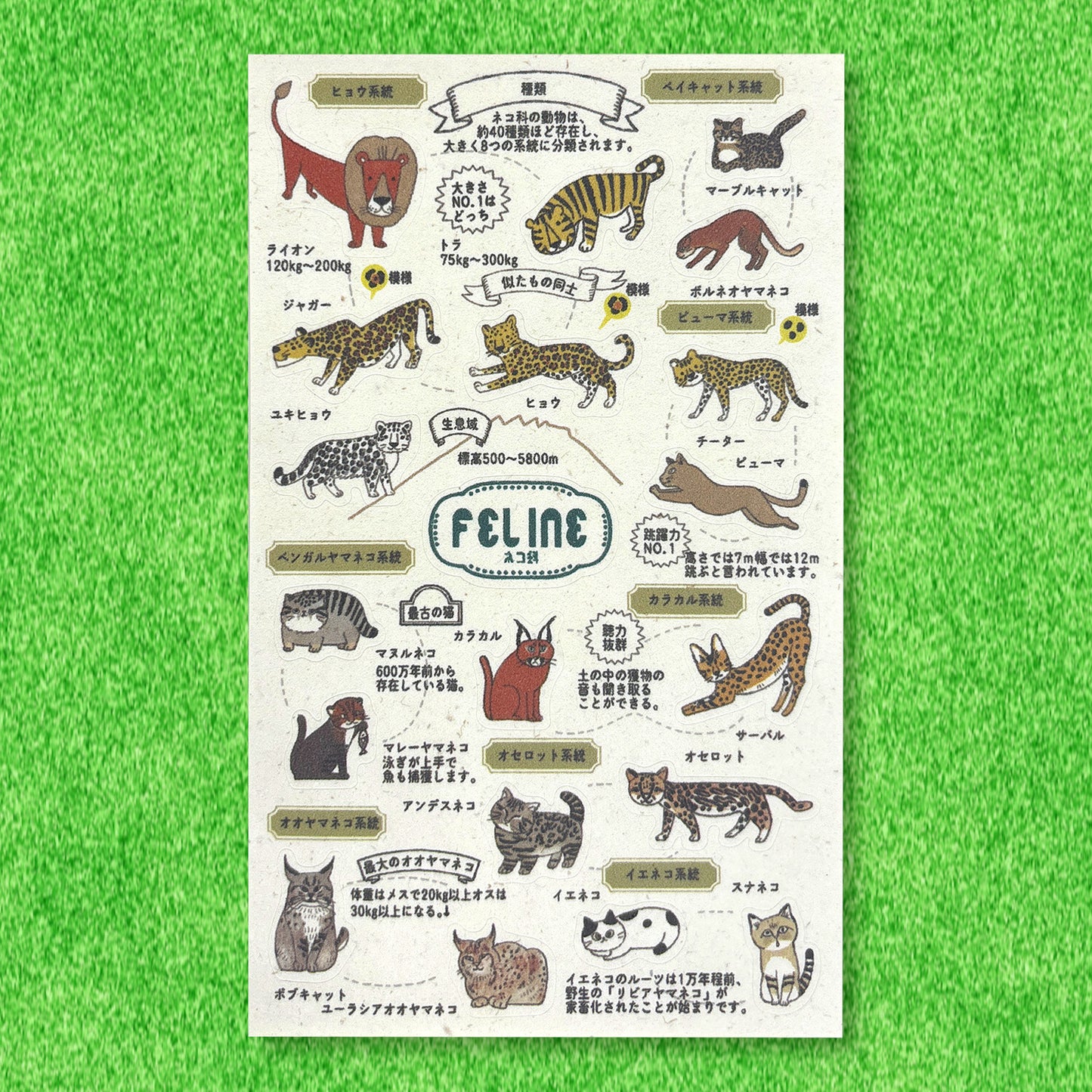 SEAL-DO Shinzi Katoh - Banana Paper Stickers - Endangered Species - Feline