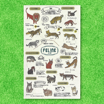 SEAL-DO Shinzi Katoh - Banana Paper Stickers - Endangered Species - Feline