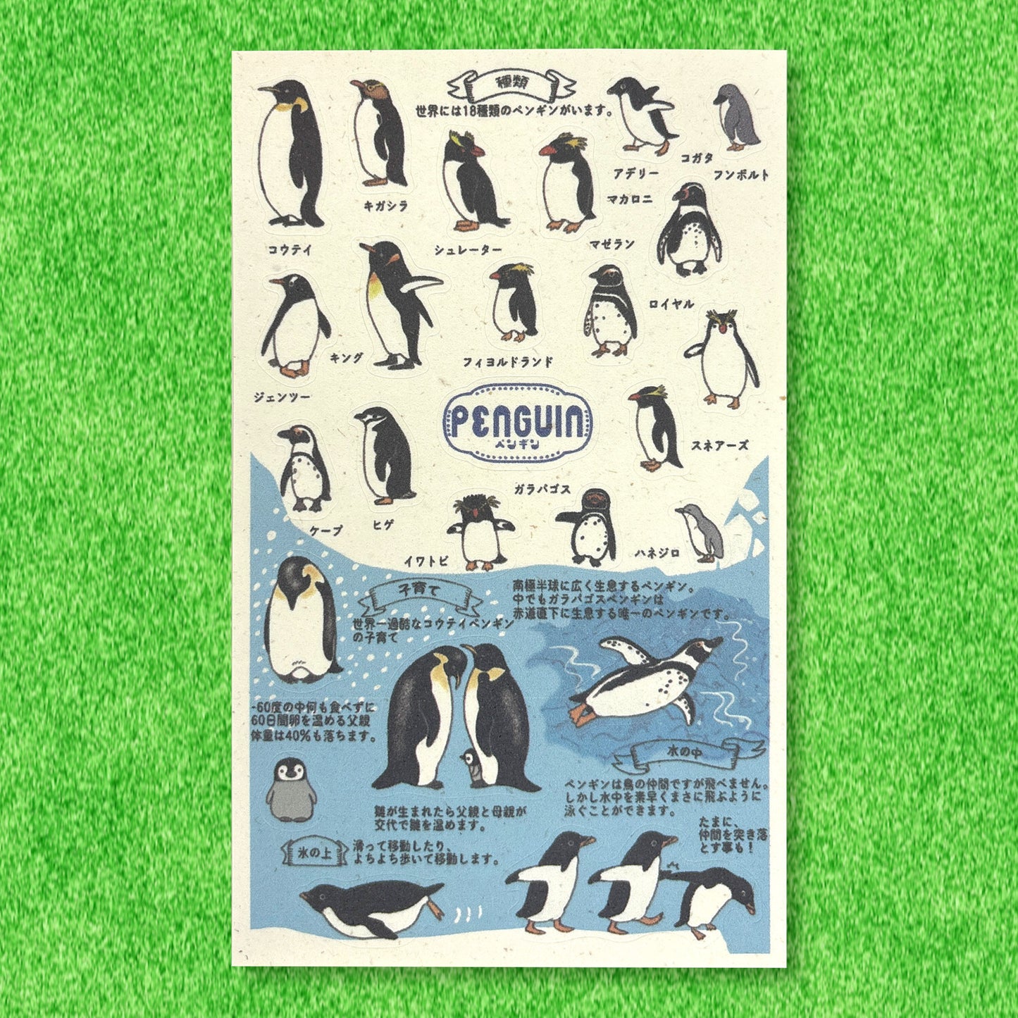 SEAL-DO Shinzi Katoh - Banana Paper Stickers - Endangered Species - Penguin