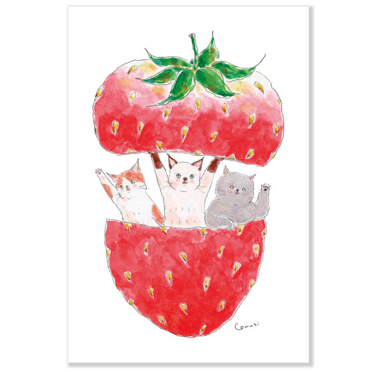 Active Corporation - Tocorocomugi - Postcard - Strawberry Kitty