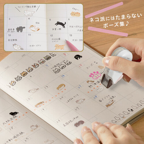 PLUS Deco Rush - 10mm Limited Edition Neko Rush Series - Exotic Shorthair