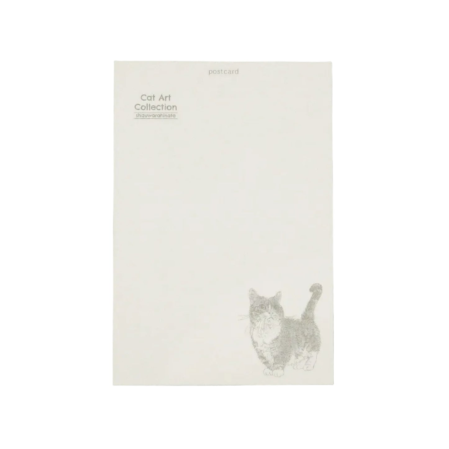 Postcard with a cat illustration on a gray background