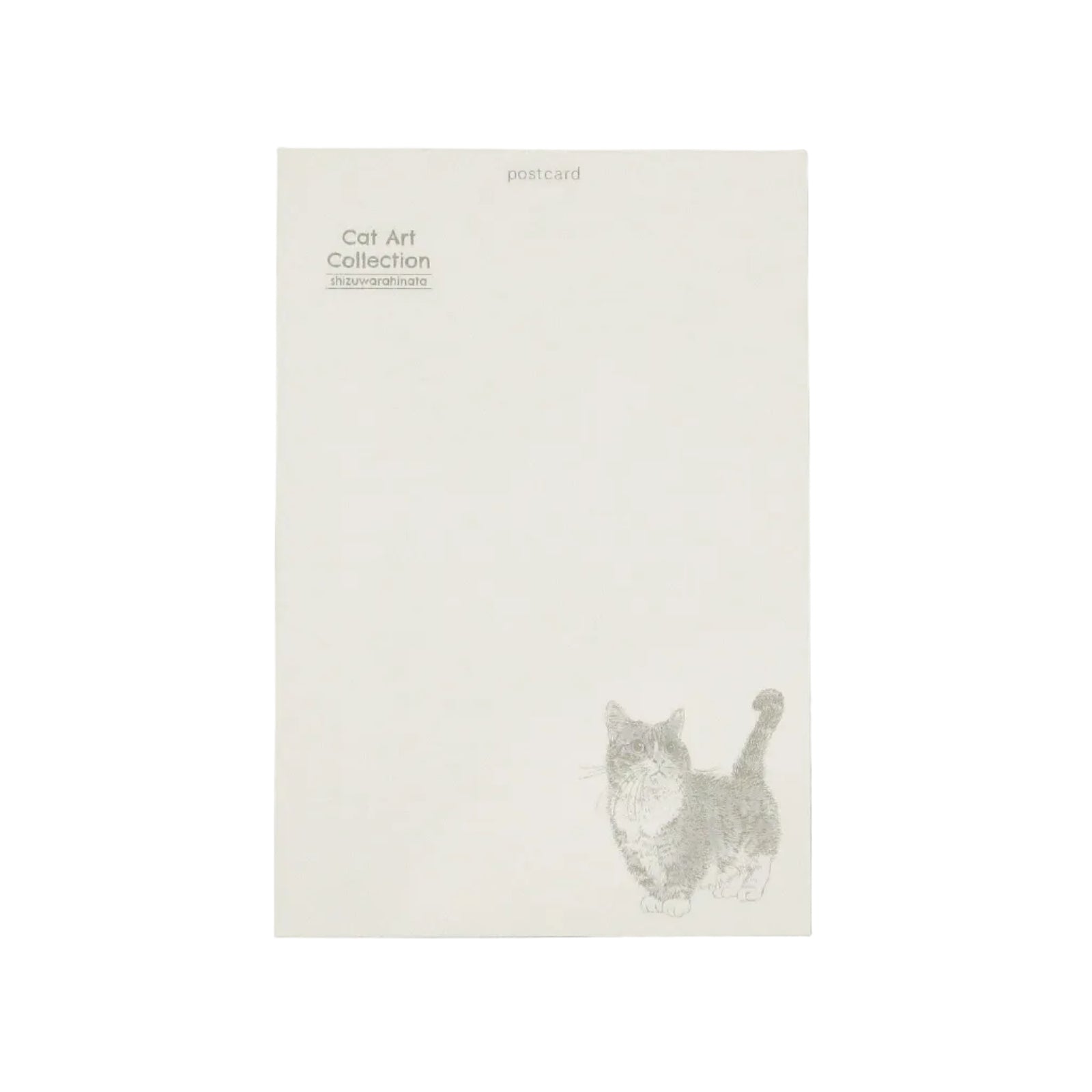 Postcard with a cat illustration on a gray background