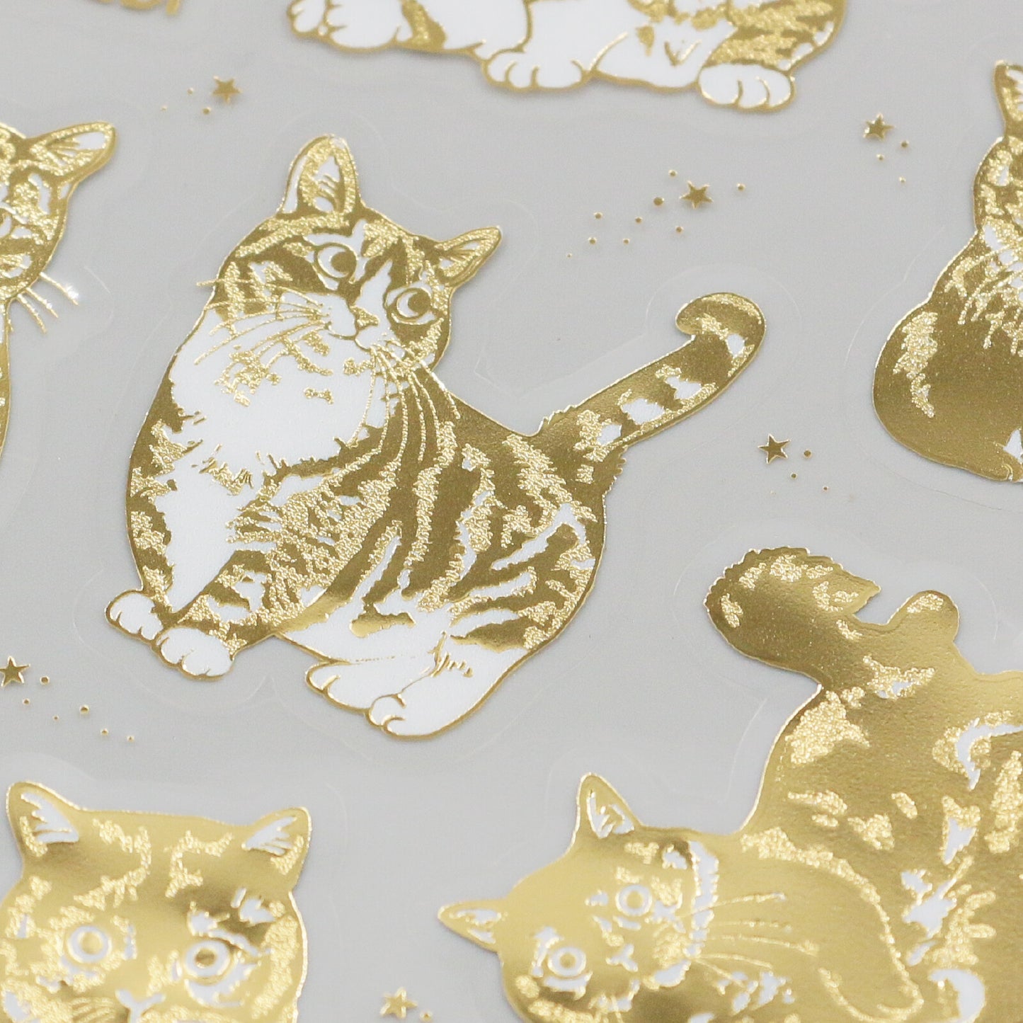 Gold and white cat illustrations on a light gray background