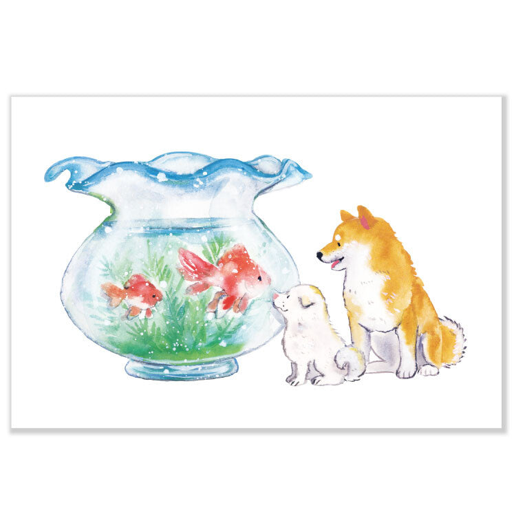 Active Corporation - Summer Limited - Postcard - Shiba Inu - Goldfish