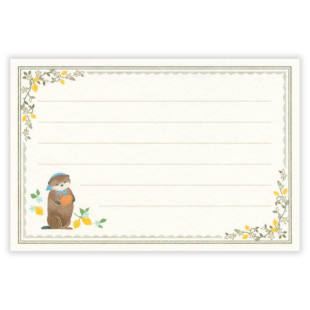 Ressa Panda Books Series - Mini Letter Set - A Sea Otter and Shell Madeleines