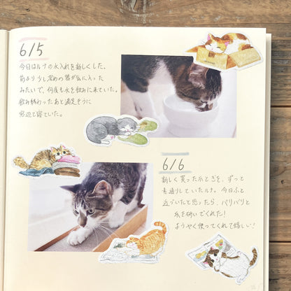 NB Co. Ltd. - Flake Stickers - Nekorobi Cozy Cats