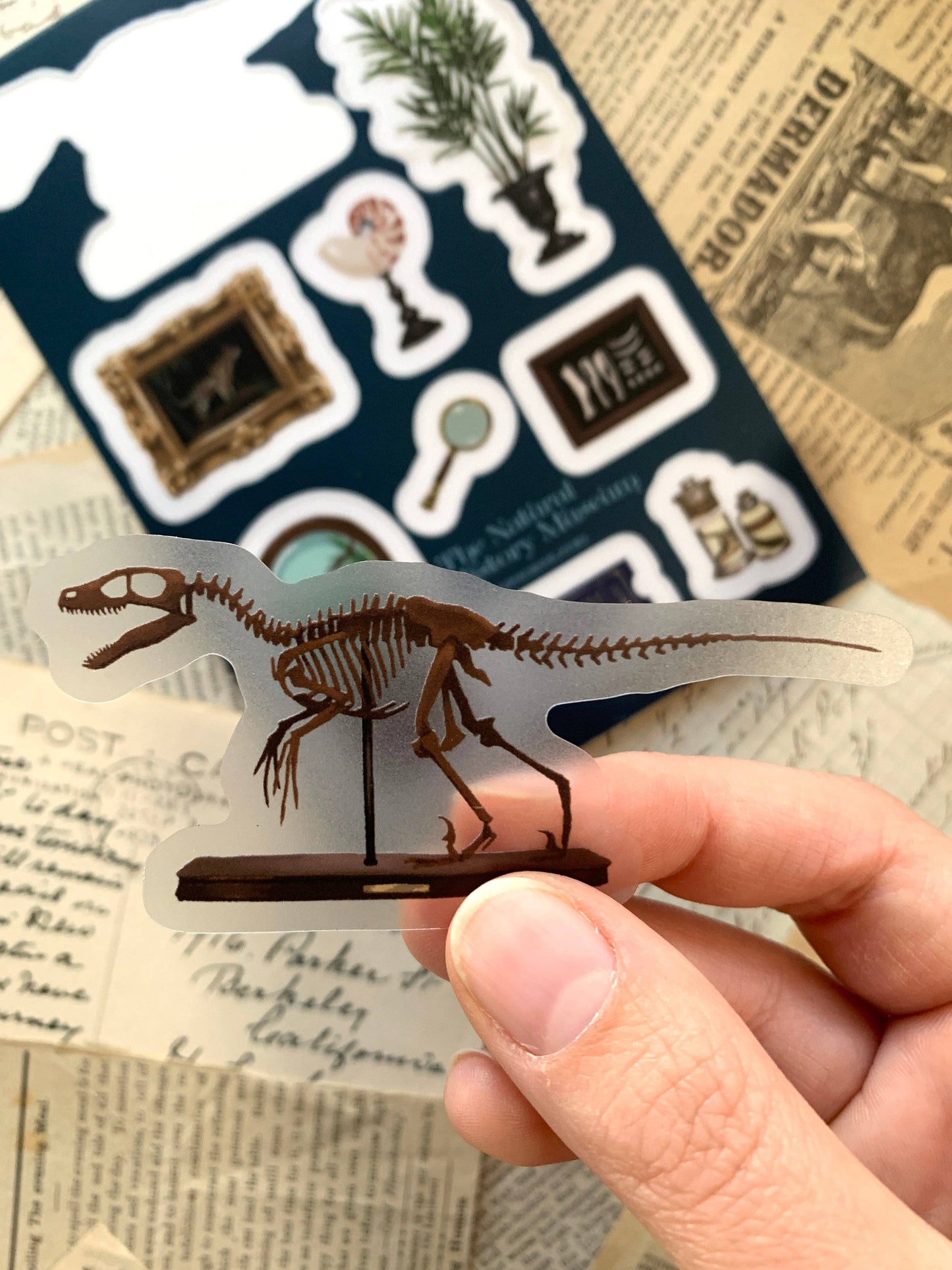 The Creeping Moon - Sticker Sheet - The Natural History Museum