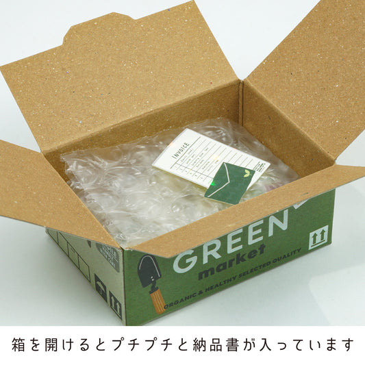 Greeting Life - Haco Flake Stickers - Green