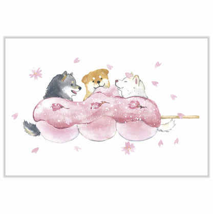 Shiba Sakura Postcard - Set of 4