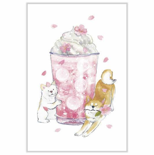 Shiba Sakura Postcard - Drink