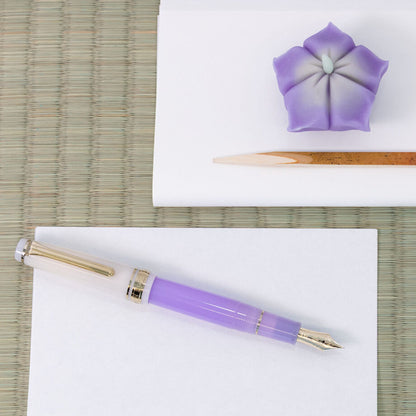 Sailor Pro Gear Slim Fountain Pen - Limited Edition Tea Time Series - Japanese Tea Ceremony Nerikiri