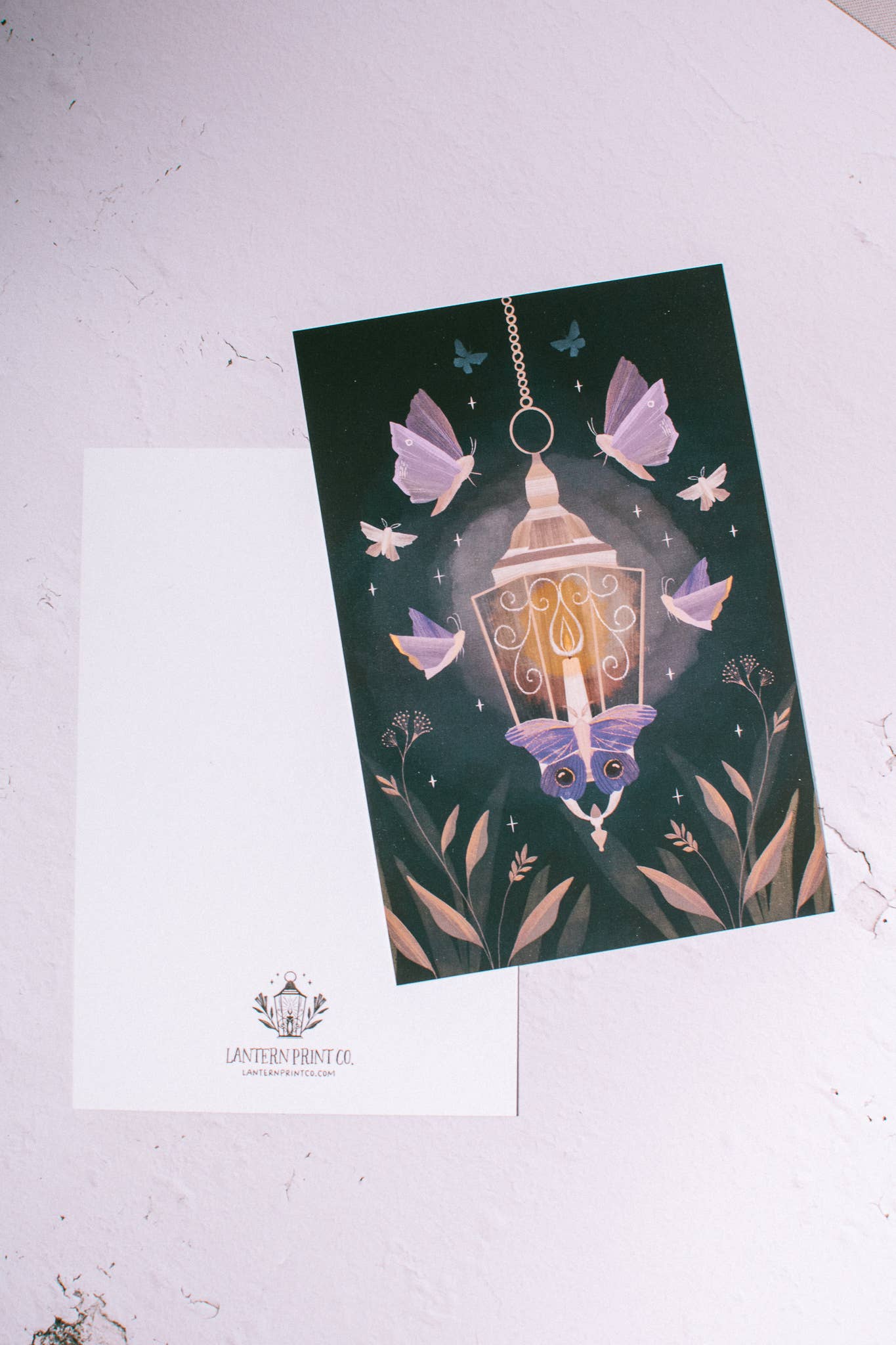 Lantern Print Co. - Postcard - Moth to Lanterns