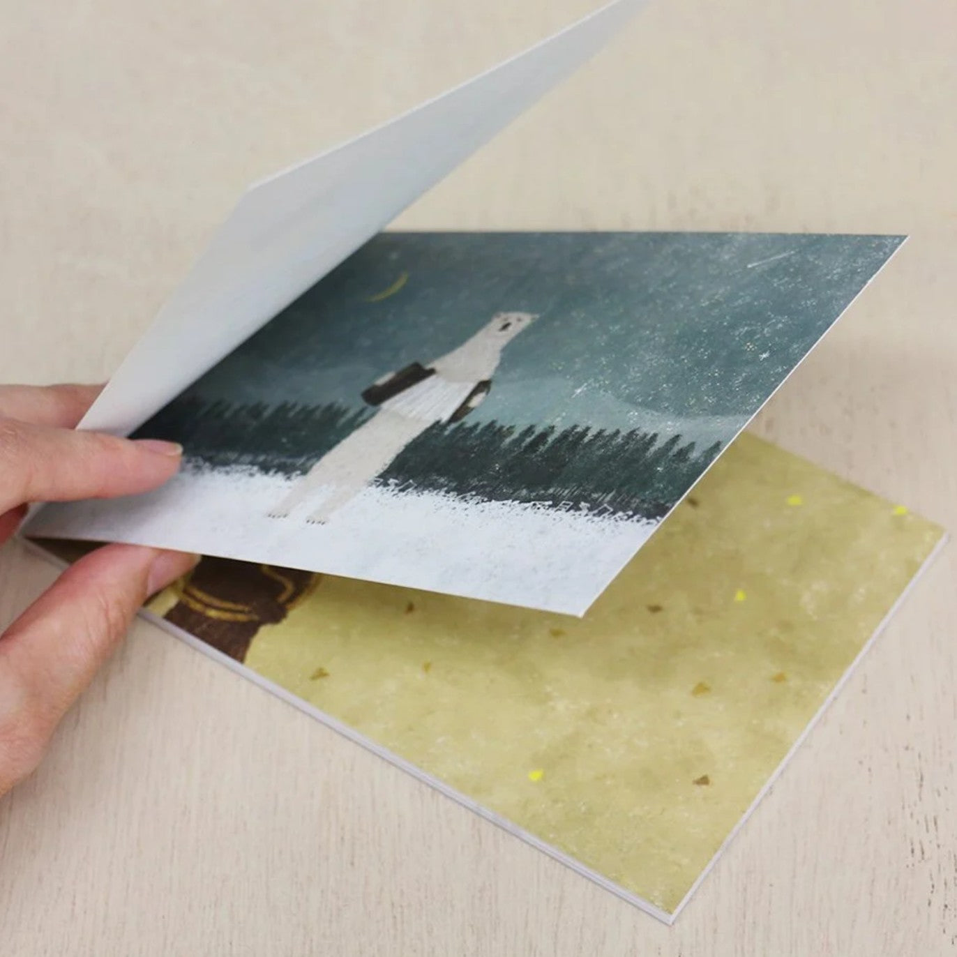 Cozyca - Postcard Book - Akira Kusaka - Harmony