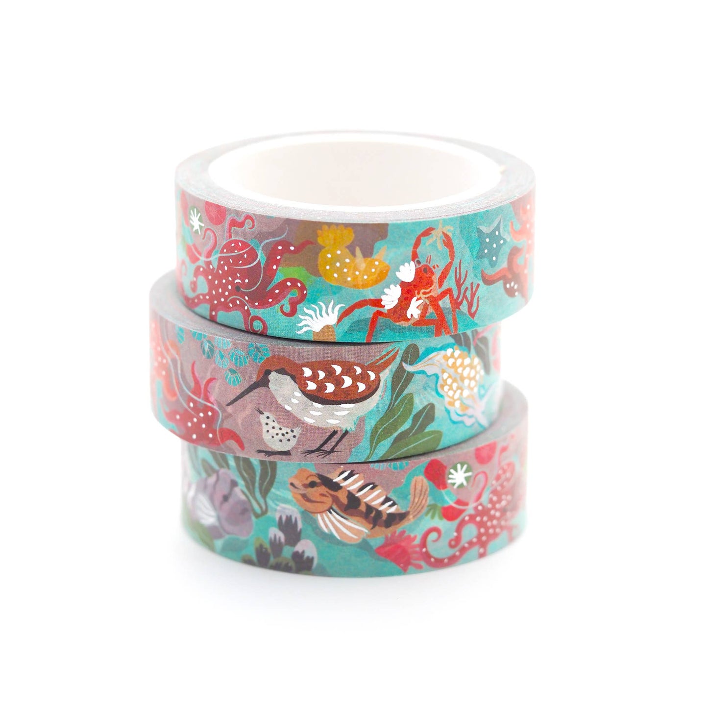 Shoal - Washi Tape - Tidepool